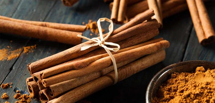 Cinnamon Bark Extract